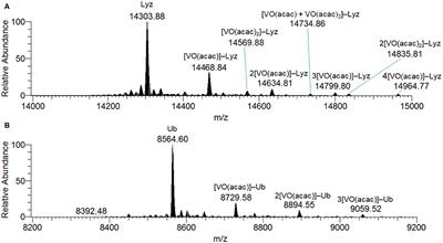 Biospeciation of Potential Vanadium Drugs of Acetylacetonate in the Presence of Proteins